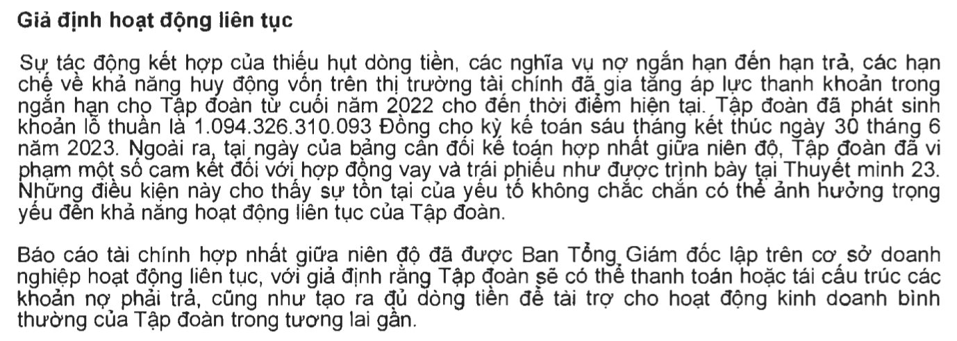 Lợi nhuận nhiều doanh nghiệp “bốc hơi” hàng trăm tỷ sau kiểm toán, Novaland, Hoà Bình bị nghi ngờ khả năng hoạt động liên tục - Ảnh 3.