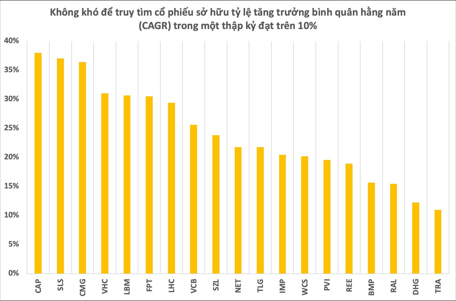 Loạt cổ phiếu FPT, REE, DP3, SLS...tăng hàng chục lần sau 10 năm, đâu là công thức thành công chung? - Ảnh 1.