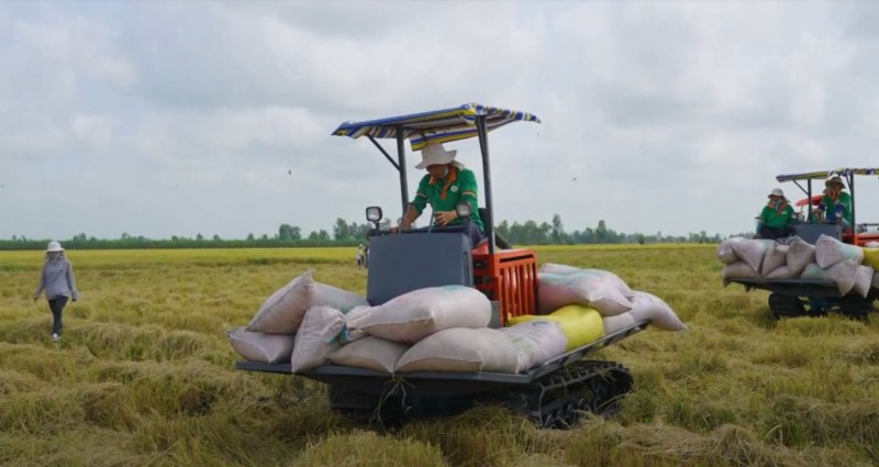 Giá lúa gạo hôm nay ngày 13/12: Gần Tết, giá gạo chợ tăng 50 - 200 đồng/kg Giá lúa gạo hôm nay ngày 13/12: Gần Tết, giá gạo chợ tăng 50 - 200 đồng/kg