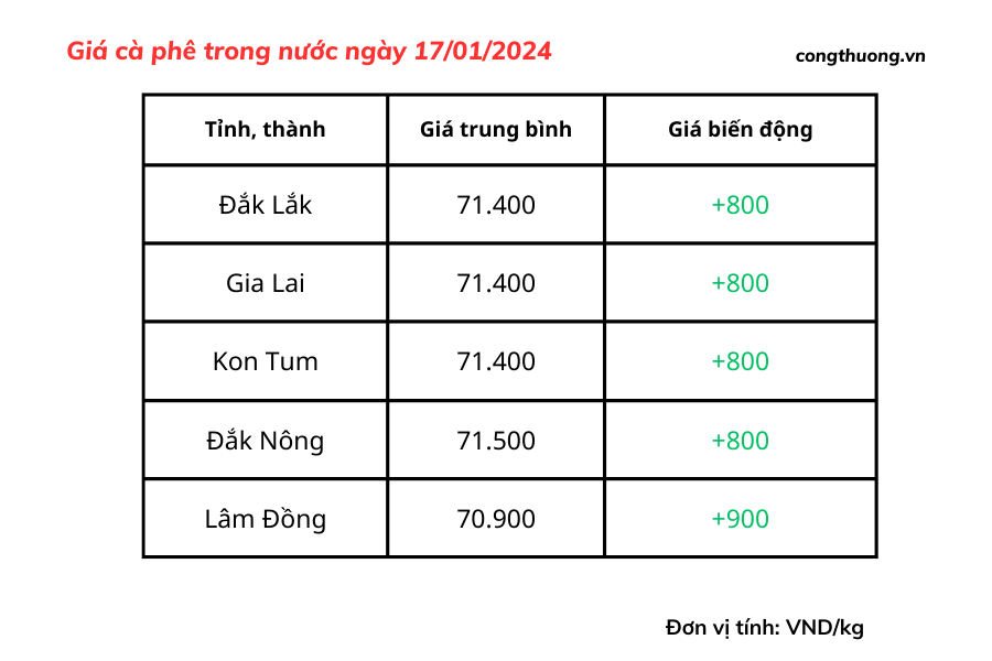 Giá cà phê hôm nay, 17/1/2024: Giá cà phê trong nước tăng 'chóng mặt'