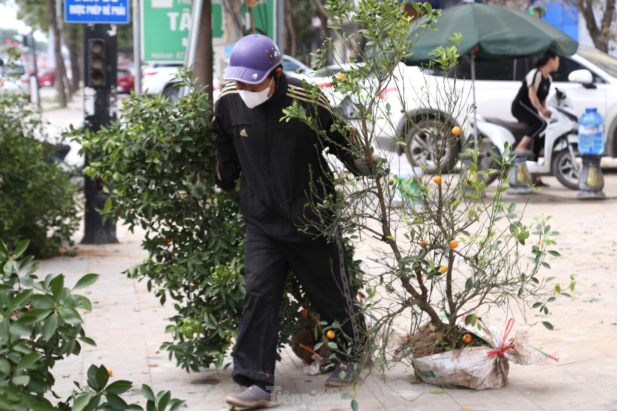 Quất chất thành đống, đào ‘khủng’ héo tàn chỏng chơ sau Tết- Ảnh 14.