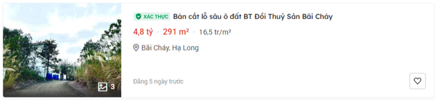 Ông lớn Big 4 rao bán biệt thự đẹp với giá chỉ từ hơn 2 tỷ đồng- Ảnh 2.