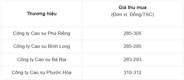 Giá cao su ngày 27/5/2024: Giá cao su thế giới neo ở mức cao