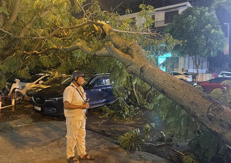 Hà Nội: Mưa lớn khiến cây xanh bật gốc đè bẹp nhiều ô tô