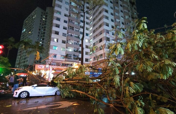 Dự báo tình hình dông lốc, mưa to cục bộ trên phạm vi cả nước trong 10 ngày tới- Ảnh 1.