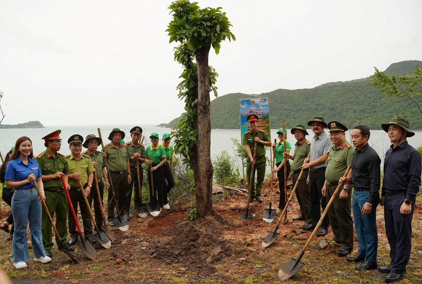 đường hoa anh đào – bằng lăng