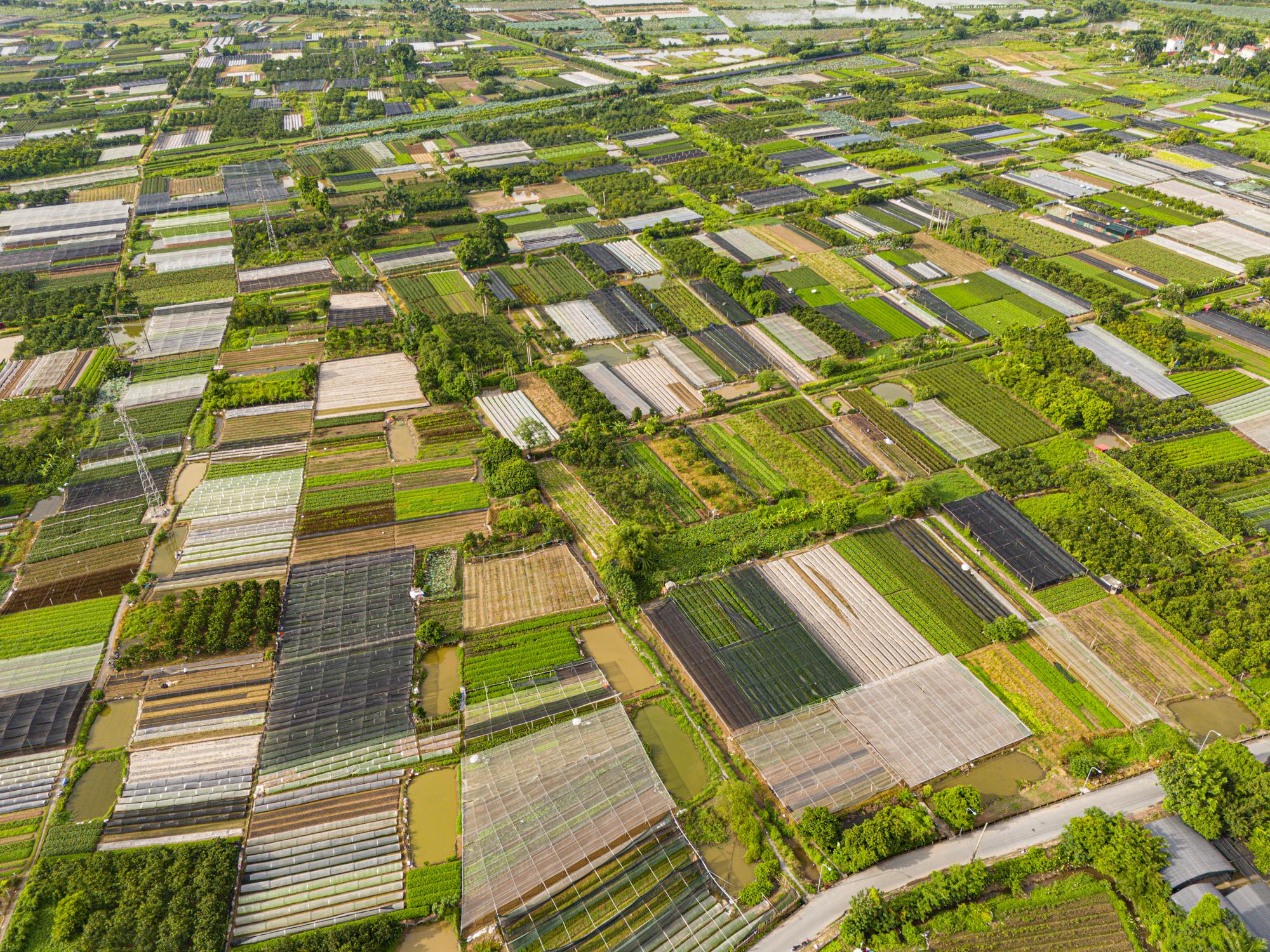 Đại dự án khu công nghệ cao sinh học, tổng vốn đầu tư hơn một tỷ USD, rộng bằng nửa quận Hoàn Kiếm giờ ra sao?- Ảnh 6.