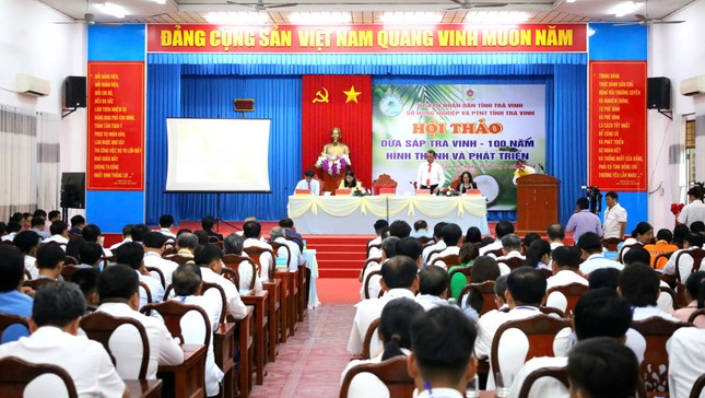 Loại dừa đắt nhất Việt Nam giá bao nhiêu?- Ảnh 1.