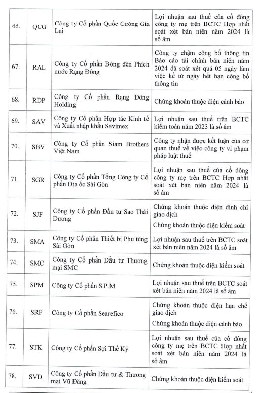 Thêm 6 mã chứng khoán bị HoSE cắt margin do lợi nhuận âm- Ảnh 7.