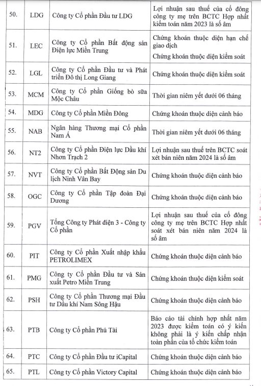 Thêm 6 mã chứng khoán bị HoSE cắt margin do lợi nhuận âm- Ảnh 6.