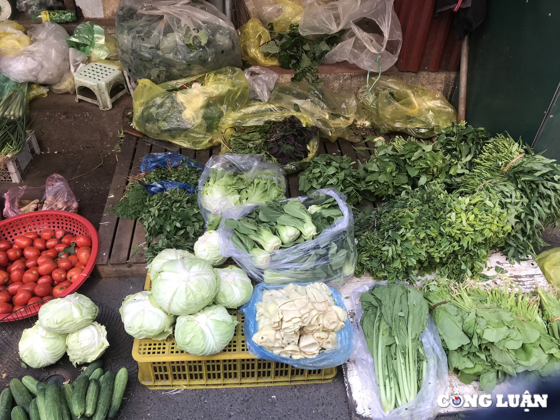 ha noi gia rau van dat do nong dan no luc hoi sinh rau mau sau bao hinh 1