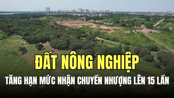 Tăng hạn mức nhận chuyển nhượng đất nông nghiệp lên 15 lần