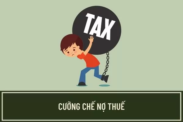 Yên Bái: Cưỡng chế thuế Công ty Long Phú Cường