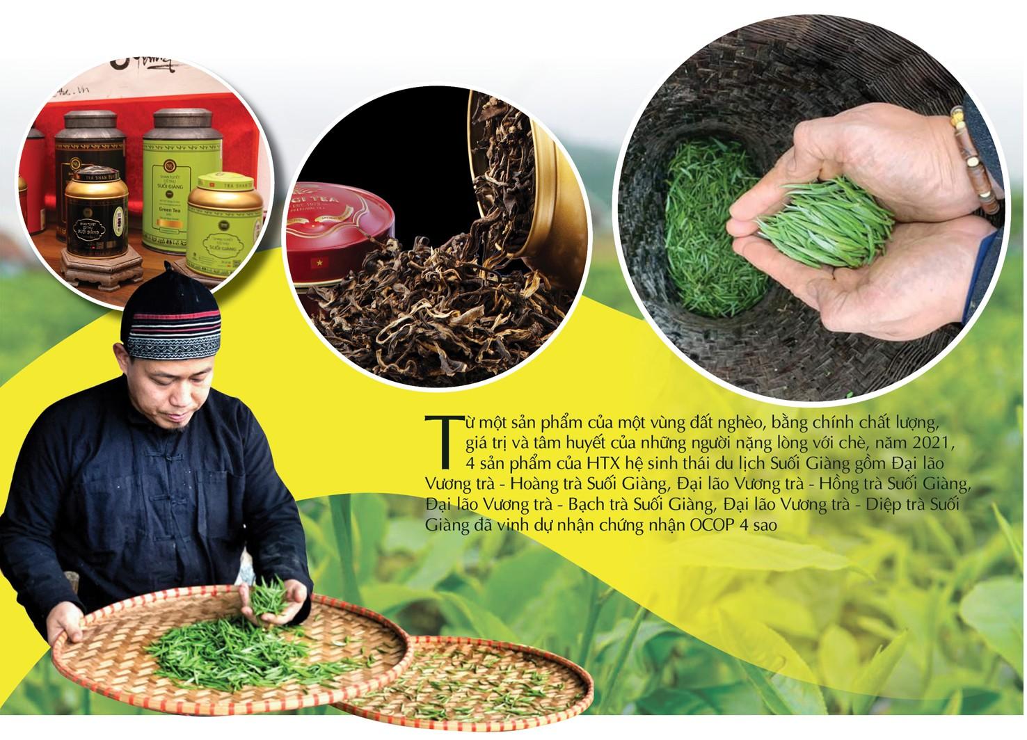 ‘Vàng xanh’ trên đỉnh non ngàn