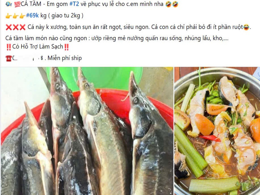 dang sau mon hoi ca tam ban re tren mang xa hoi hinh 1