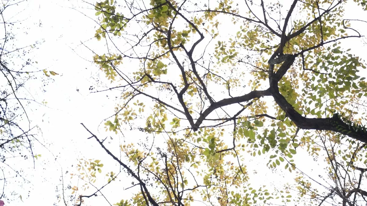 Người dân Khương Mai xin giữ sân chơi trẻ em cuối cùng Hà Nội: Đề xuất xây nhà văn hóa, dân Khương Mai lo mất sân chơi trẻ em