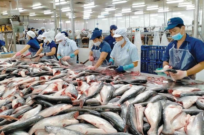 Sản lượng thủy sản nuôi trồng quý I năm 2025 đạt 1.113,6 nghìn tấn, tăng 5,1%  so với cùng kỳ năm 2024