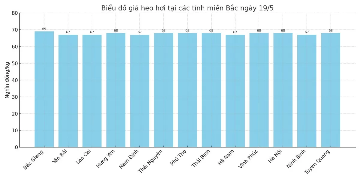 Biểu đồ giá heo hơi tại các tỉnh miền Bắc ngày 19/5. Biểu đồ giá heo hơi tại các tỉnh miền Bắc ngày 19/5.