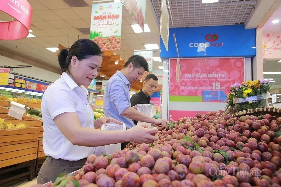 Từ nếp nương đến siêu thị: Hành trình Saigon Co.op đồng hành cùng nông sản vùng cao Từ nếp nương đến siêu thị: Hành trình Saigon Co.op đồng hành cùng nông sản vùng cao