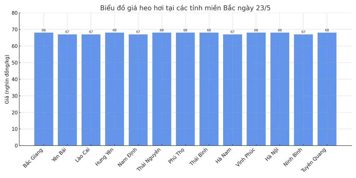 Biểu đồ giá heo hơi tại các tỉnh miền Bắc ngày 23/5.