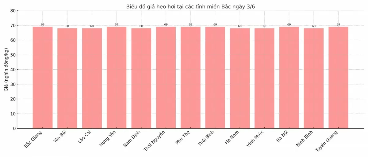Biểu đồ giá heo hơi tại các tỉnh miền Trung - Tây Nguyên ngày 3/6.