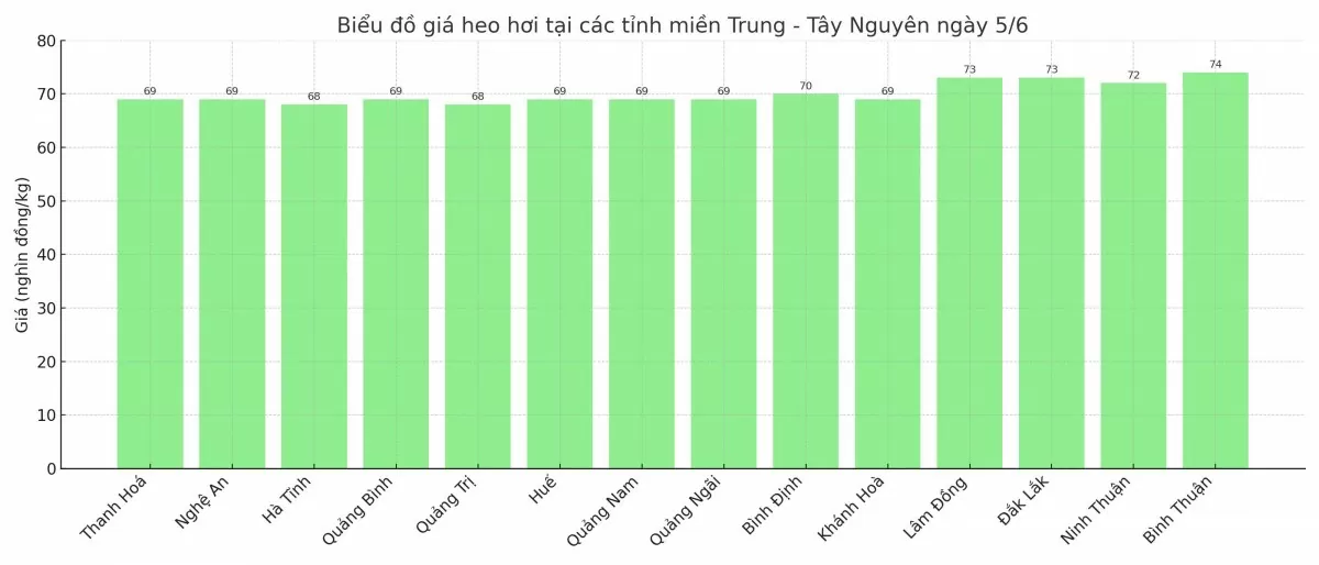 Biểu đồ giá heo hơi tại các tỉnh miền Trung - Tây Nguyên ngày 5/6.