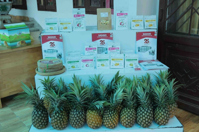 Dứa mật Đam Rông là một trong những sản phẩm tiêu biểu của vùng đồng bào dân tộc Lâm Đồng