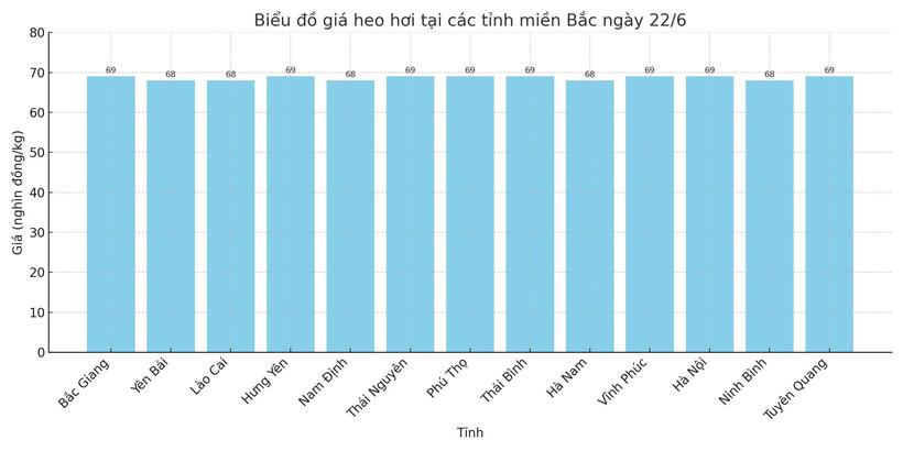Biểu đồ giá heo hơi tại các tỉnh miền Bắc ngày 22/6.