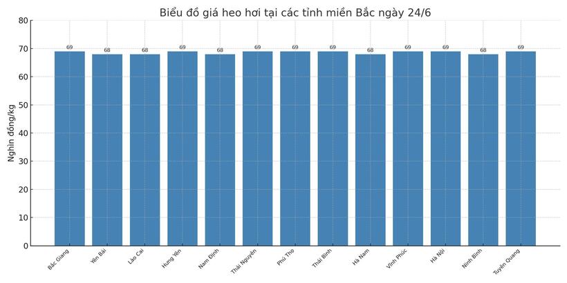 Biểu đồ giá heo hơi tại các tỉnh miền Bắc ngày 24/6.