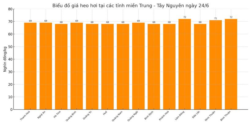 Biểu đồ giá heo hơi tại các tỉnh miền Trung - Tây Nguyên ngày 24/6.