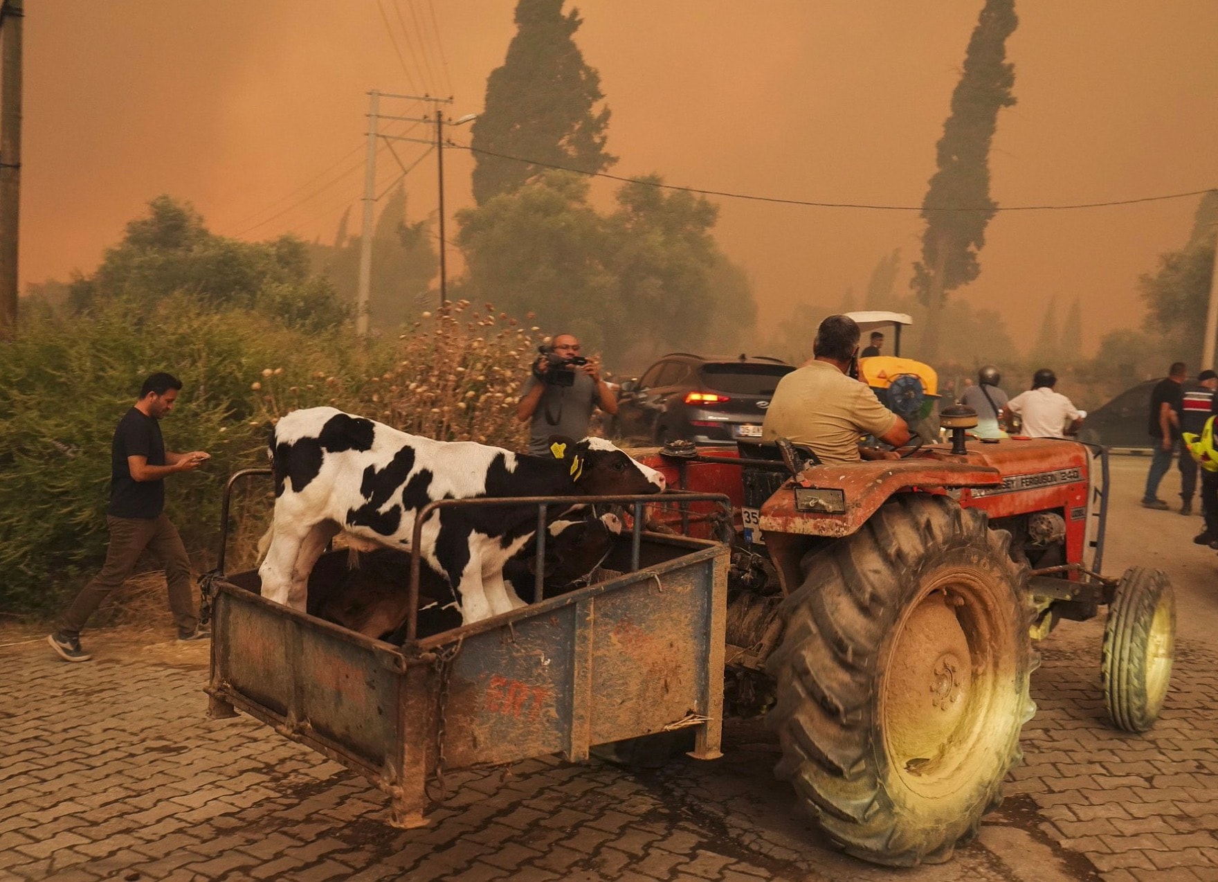 Screenshot 2025-07-05 at 07.43.39