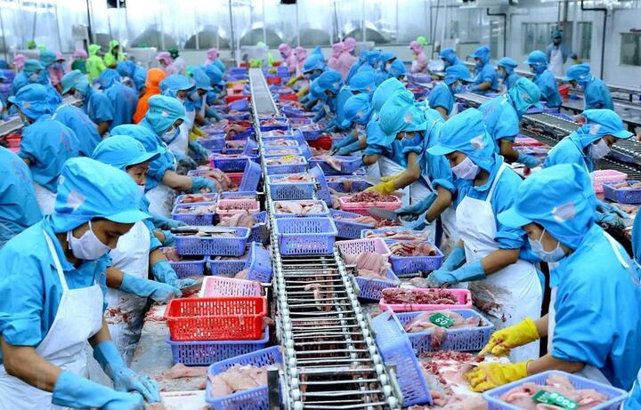 Thuỷ sản là một trong những sản phẩm xuất khẩu chủ lực của Việt Nam sang Na Uy (Ảnh: Vasep)