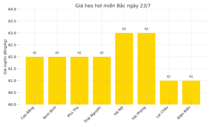 Biểu đồ giá heo hơi miền Bắc ngày 23/7