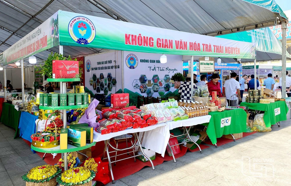 Hợp t&aacute;c x&atilde; điện tử được coi l&agrave; giải ph&aacute;p an to&agrave;n gi&uacute;p hộ kinh doanh bước v&agrave;o m&ocirc;i trường doanh nghiệp.