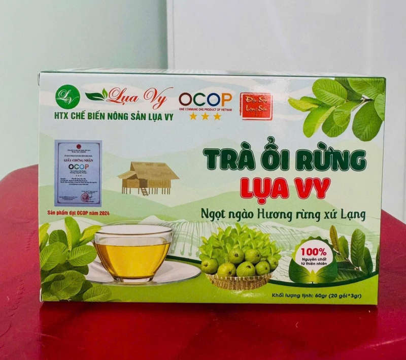 Trà Ổi rừng Lụa Vy hiện nay đã có mặt ở khắp các sàn TMĐT trên cả nước