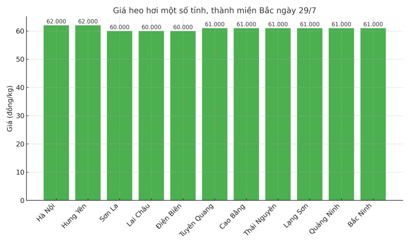 Biểu đồ giá heo hơi một số tỉnh, thành miền Bắc ngày 29/7
