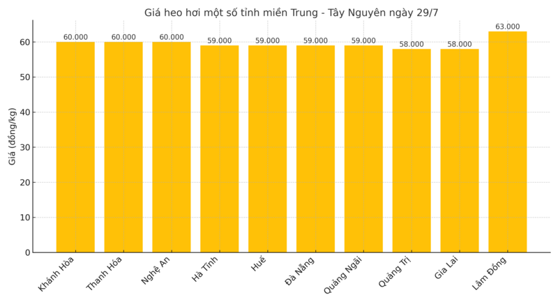 Biểu đồ giá heo hơi một số tỉnh miền Trung - Tây Nguyên ngày 29/7