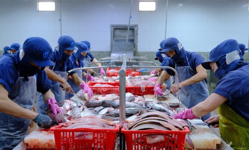 Trong thời gian tới, doanh nghiệp xuất khẩu cần đẩy mạnh đầu tư sản xuất, chế biến để khai thác thị trường Mexico và thị trường Mỹ Latinh rộng lớn. Ảnh: Hải Hương
