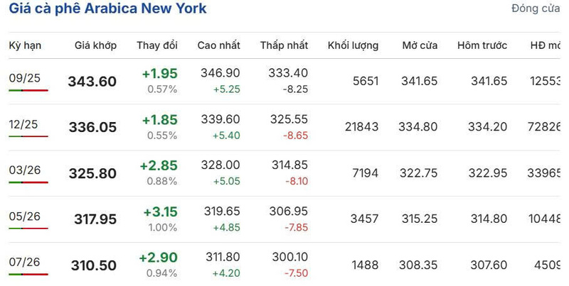 Giá cà phê Arabica New York sáng ngày 19/8/2025