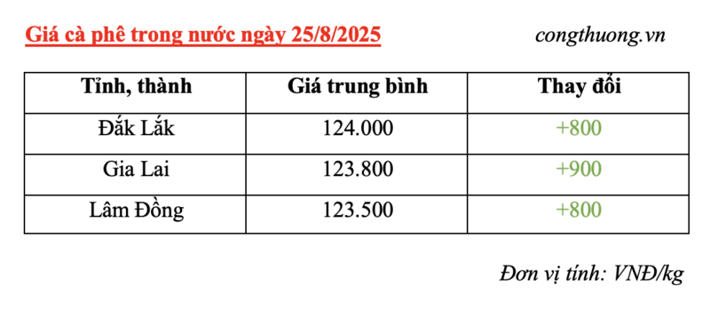 Bảng giá cà phê trong nước sáng ngày 25/8/2025