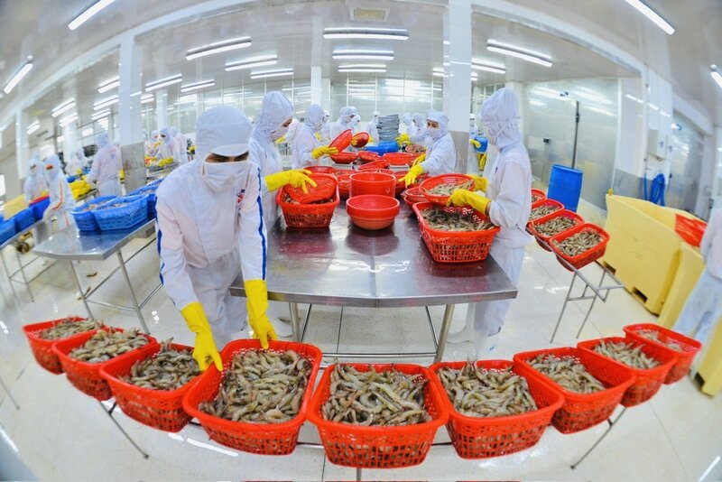 Người Na Uy thích tôm Việt, chuộng cà phê Việt Nam. Ảnh: Ánh Dương