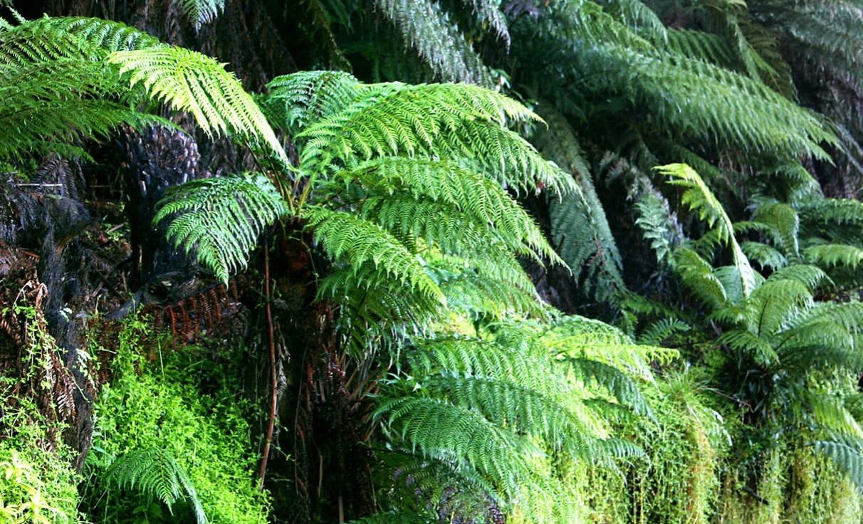 Screenshot 2025-11-12 at 14.17.28