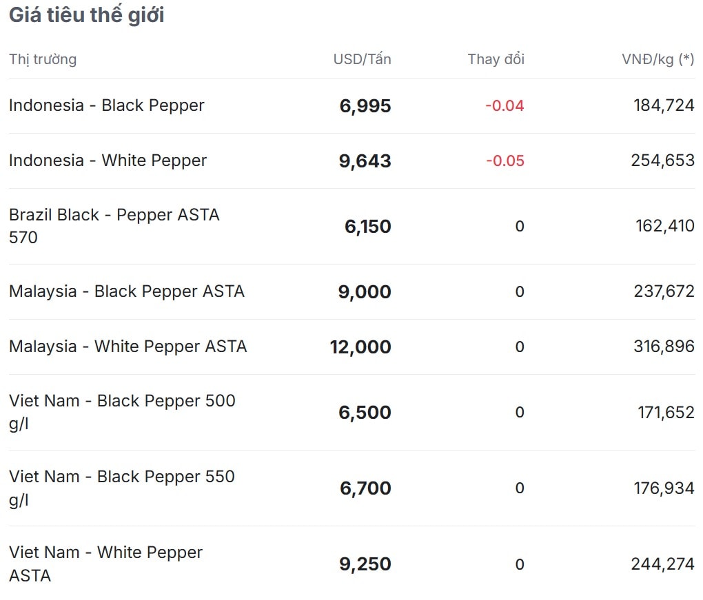Giá tiêu hôm nay 9 12 2025 Tiếp tục lấy lại đà phục hồi nhẹ