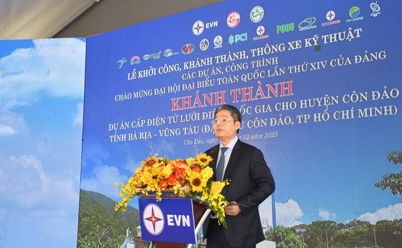 Ông Nguyễn Tài Anh - Phó Tổng giám đốc EVN. Ảnh: Minh Khuê.