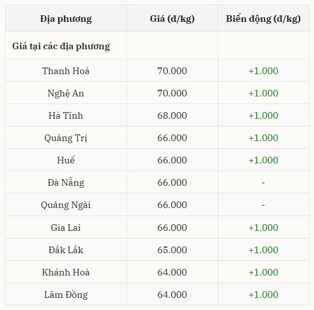 Miền Trung – Tây Nguyên ghi nhận giá heo hơi hôm nay tăng đồng loạt tại nhiều địa phương
