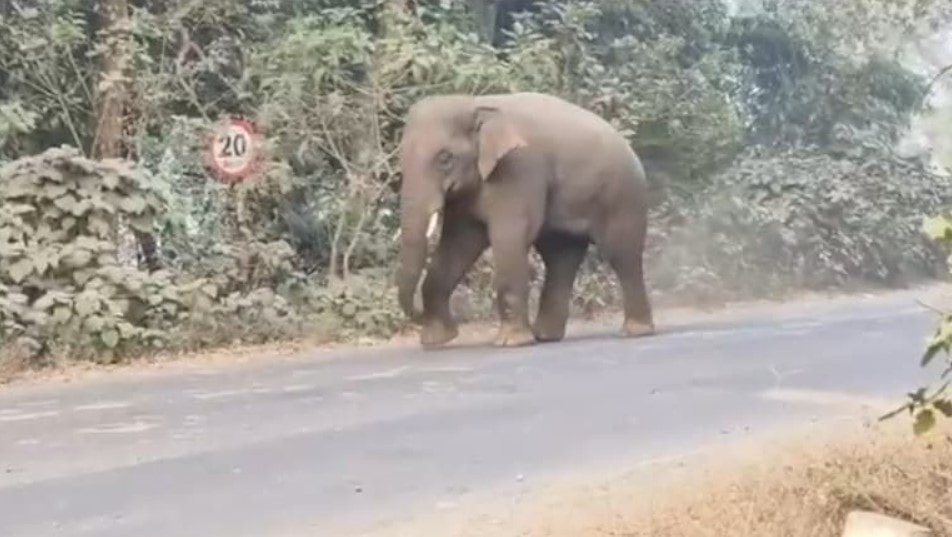 Screenshot 2026-02-13 215418