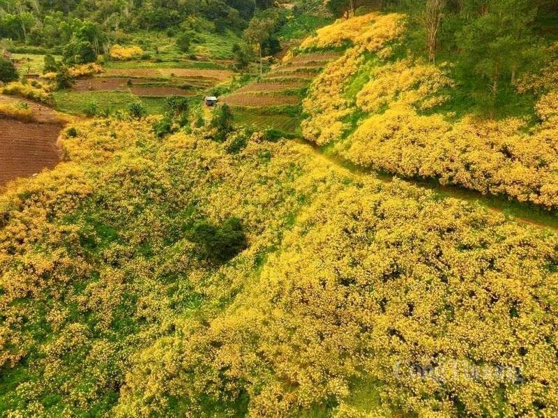 Mường Ảng đang từng bước khai thác lợi thế cảnh quan đồi núi và vùng nguyên liệu để phát triển du lịch trải nghiệm.