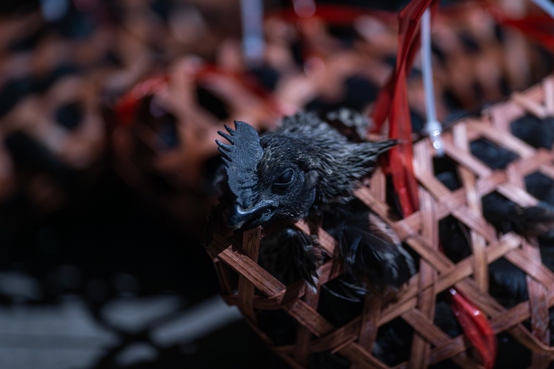 Đối với người dân ở đây, mua được gà đen ở chợ Âm Dương là may mắn, bình an cho năm mới.