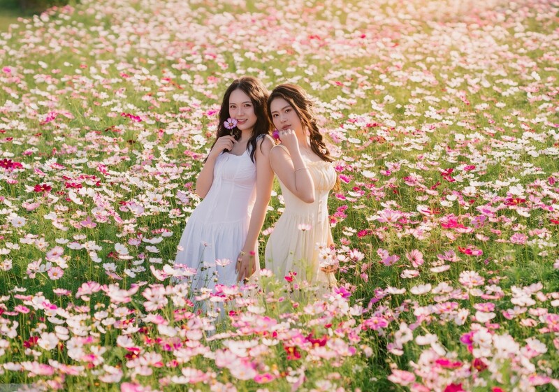 Năm nay ở nhiều điểm du lịch của Nghệ An phủ kín hoa cánh bướm, tạo ấn tượng cho khách tham quan