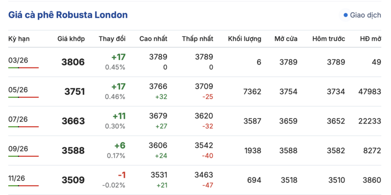 Giá cà phê hôm nay 6/3/2026: Đảo chiều tăng nhẹ - 2